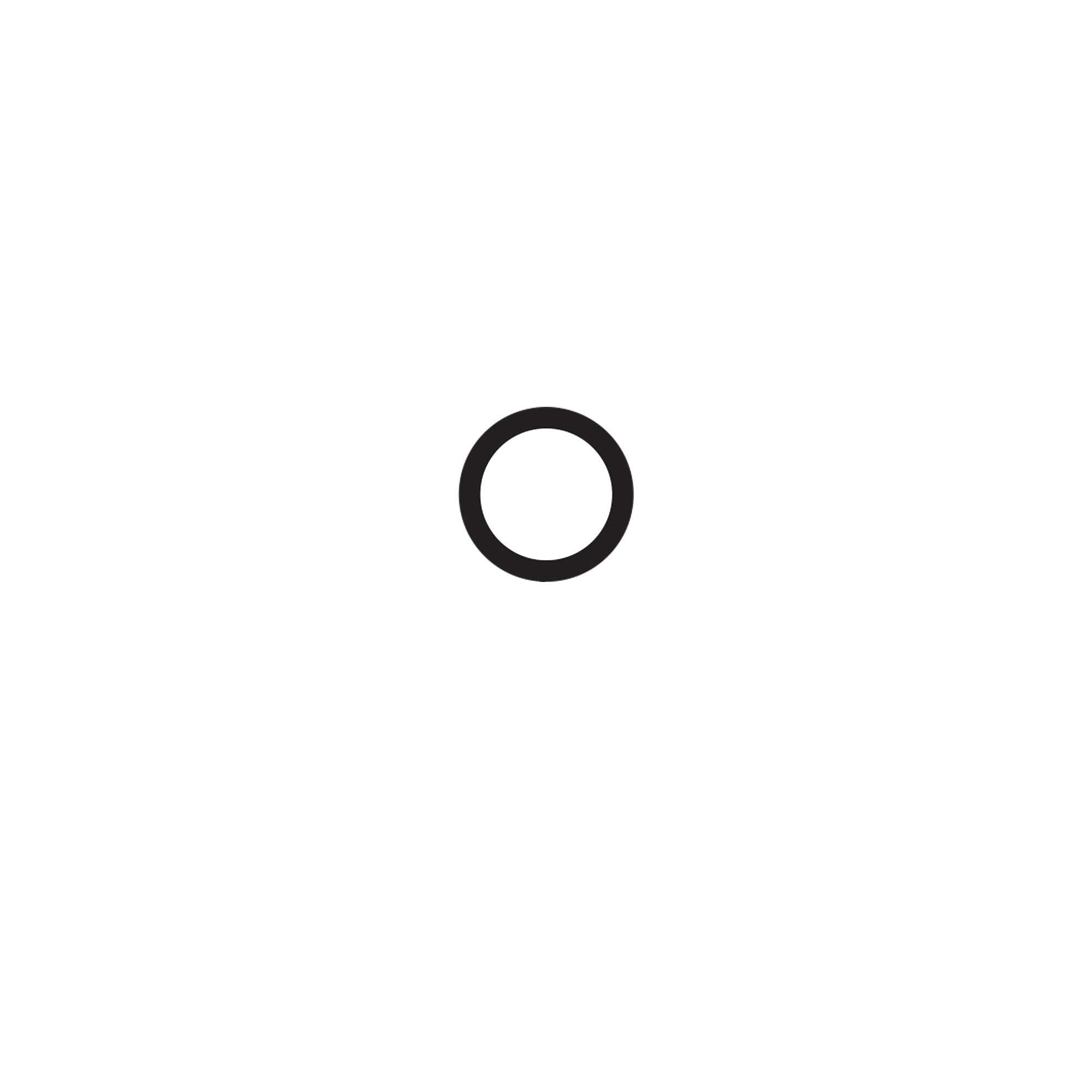 2005699 - O-Ring (10 Pack)