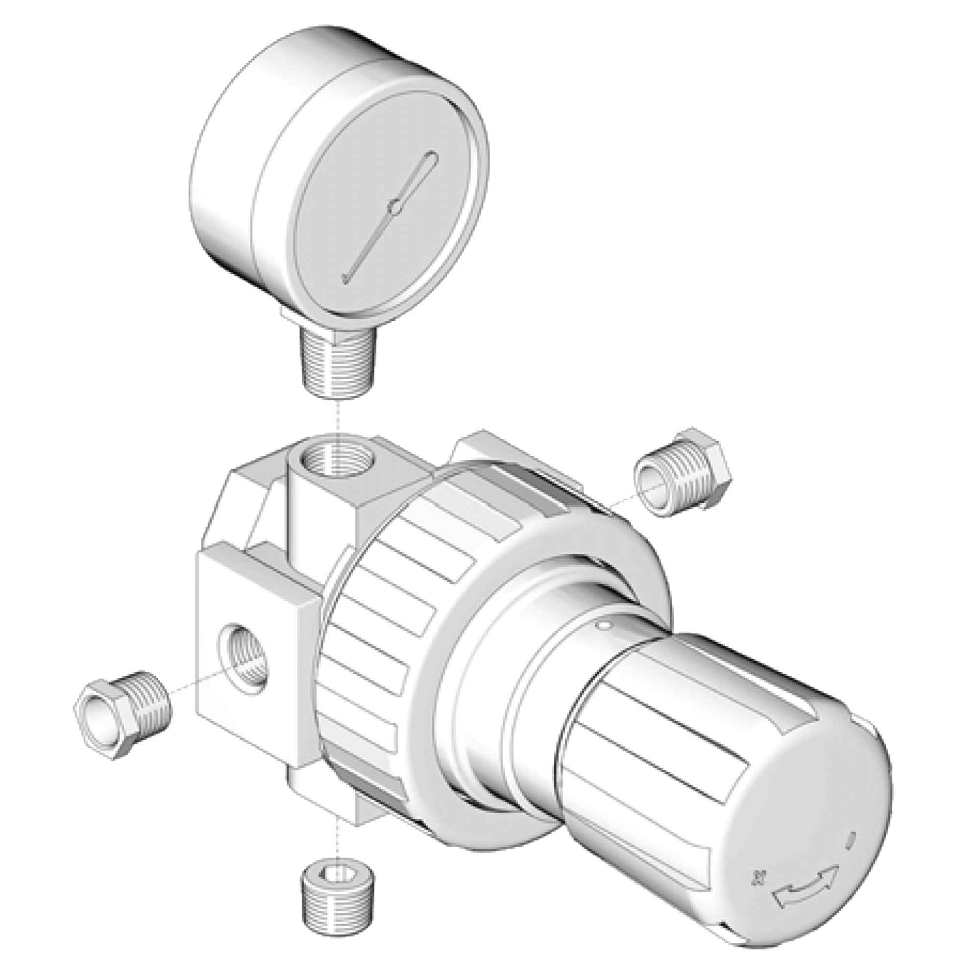 202156 - Air Regulator and Gauge