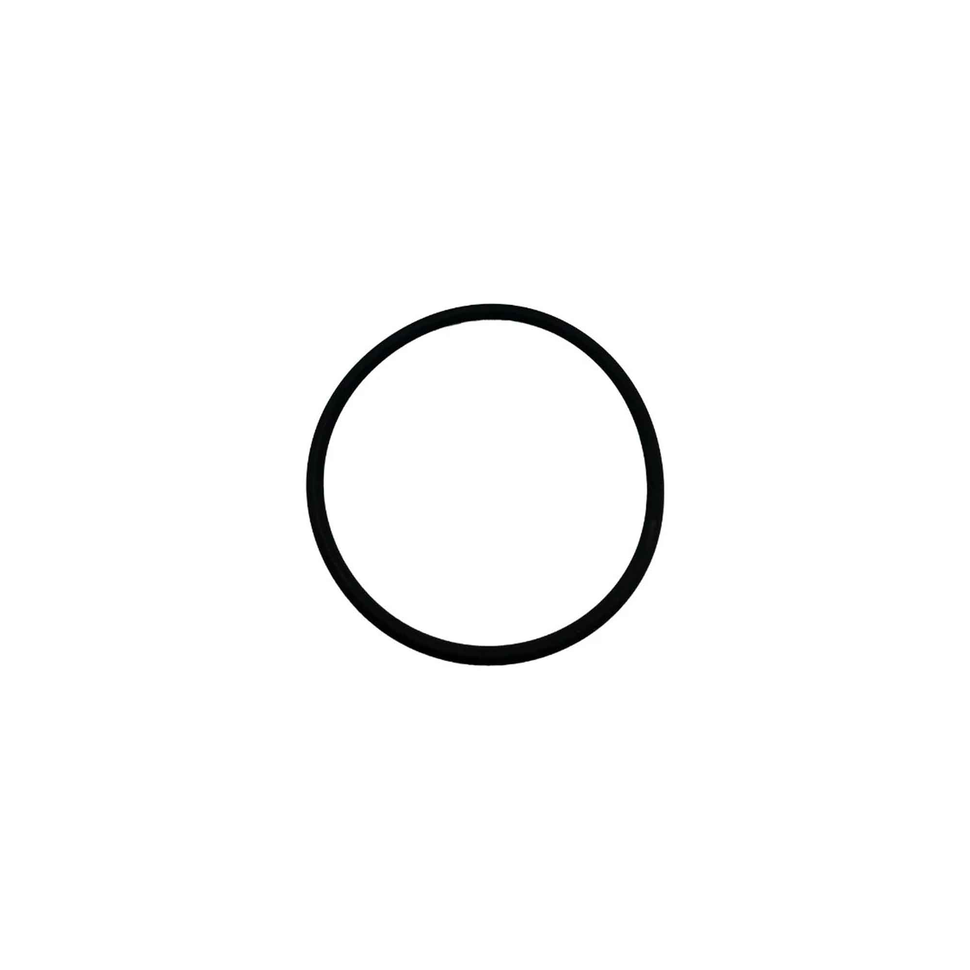 248135-R - Kit, O-Ring, Large Piston, Reusable (10 pk) - PURspray