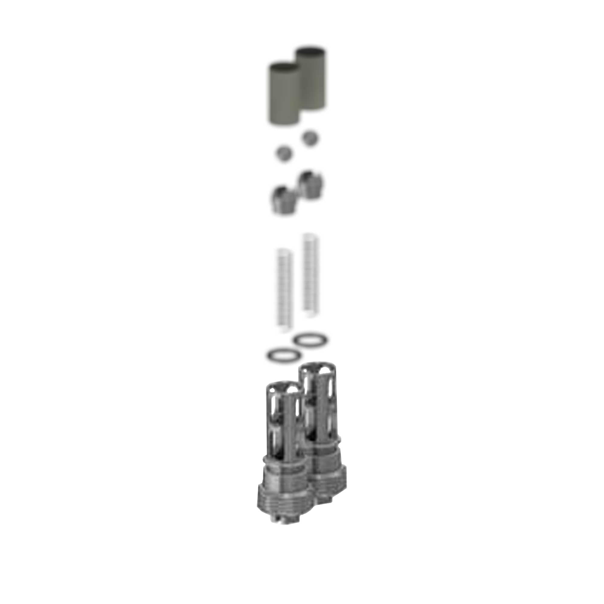 256462 - Hose Manifold Check Valves Kit - PURspray