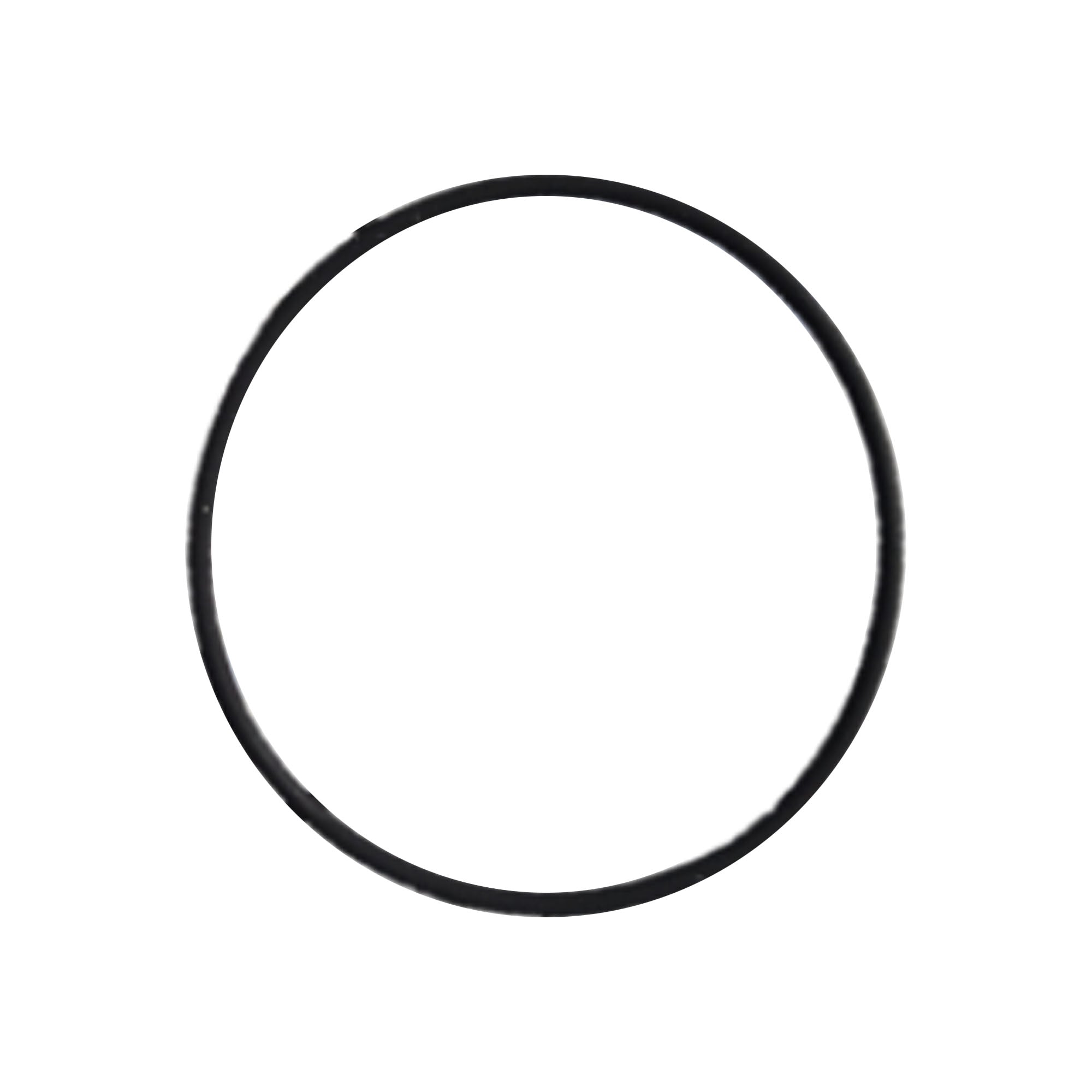 256774 - O-Ring, Pack of 6 - PURspray
