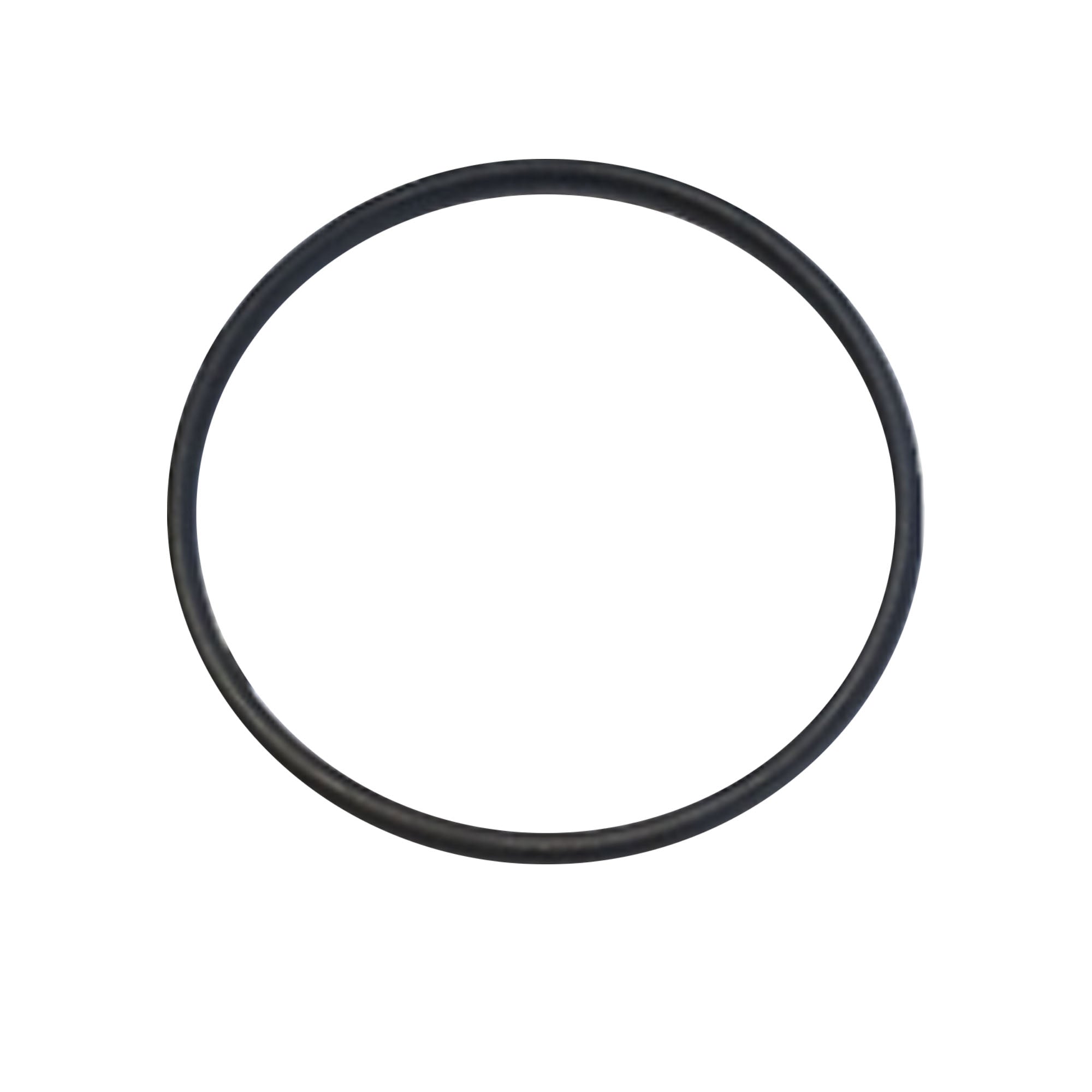256775 - O-Ring, Pack of 6 - PURspray