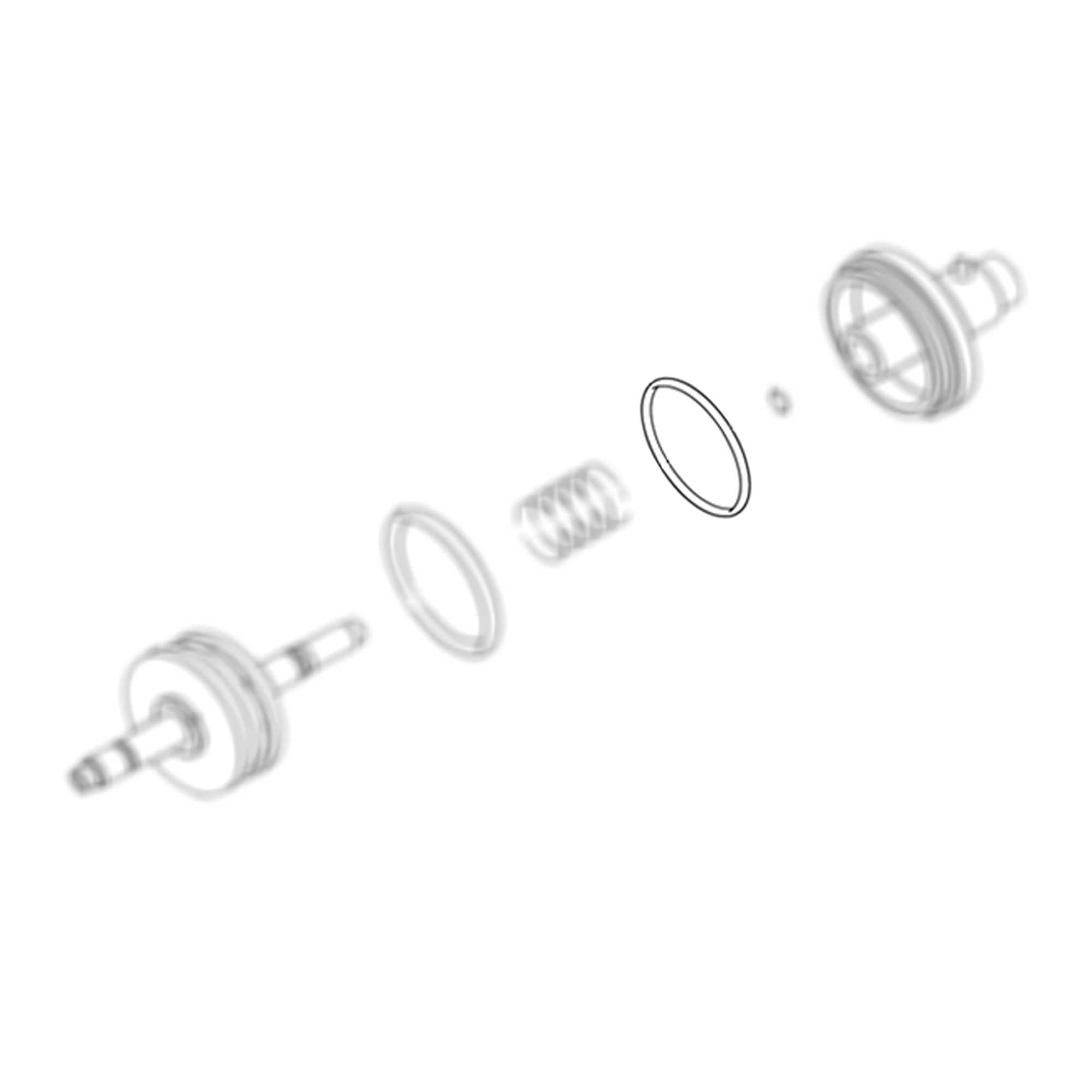 295681 - O-Ring - PURspray