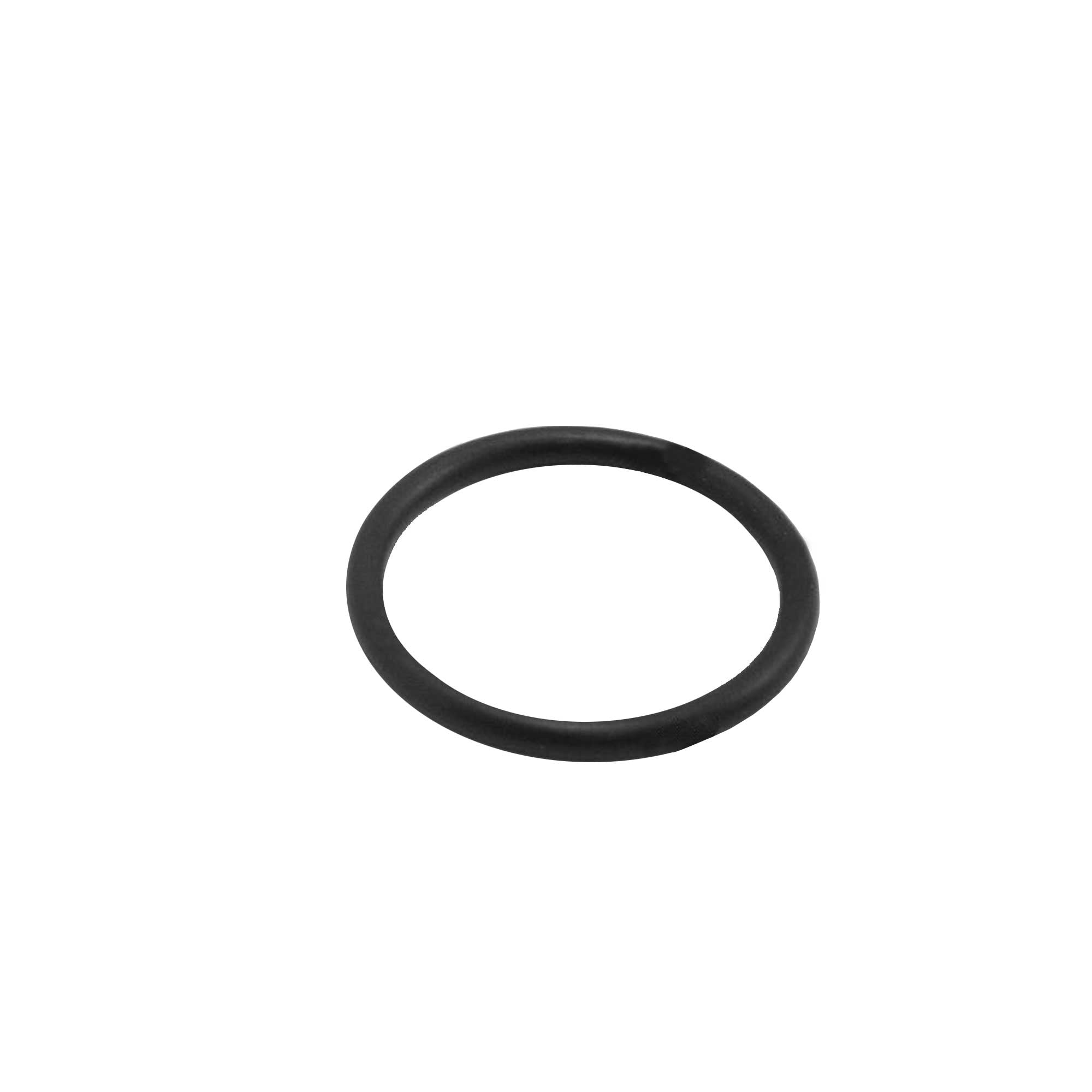 295683 - O-Ring - PURspray