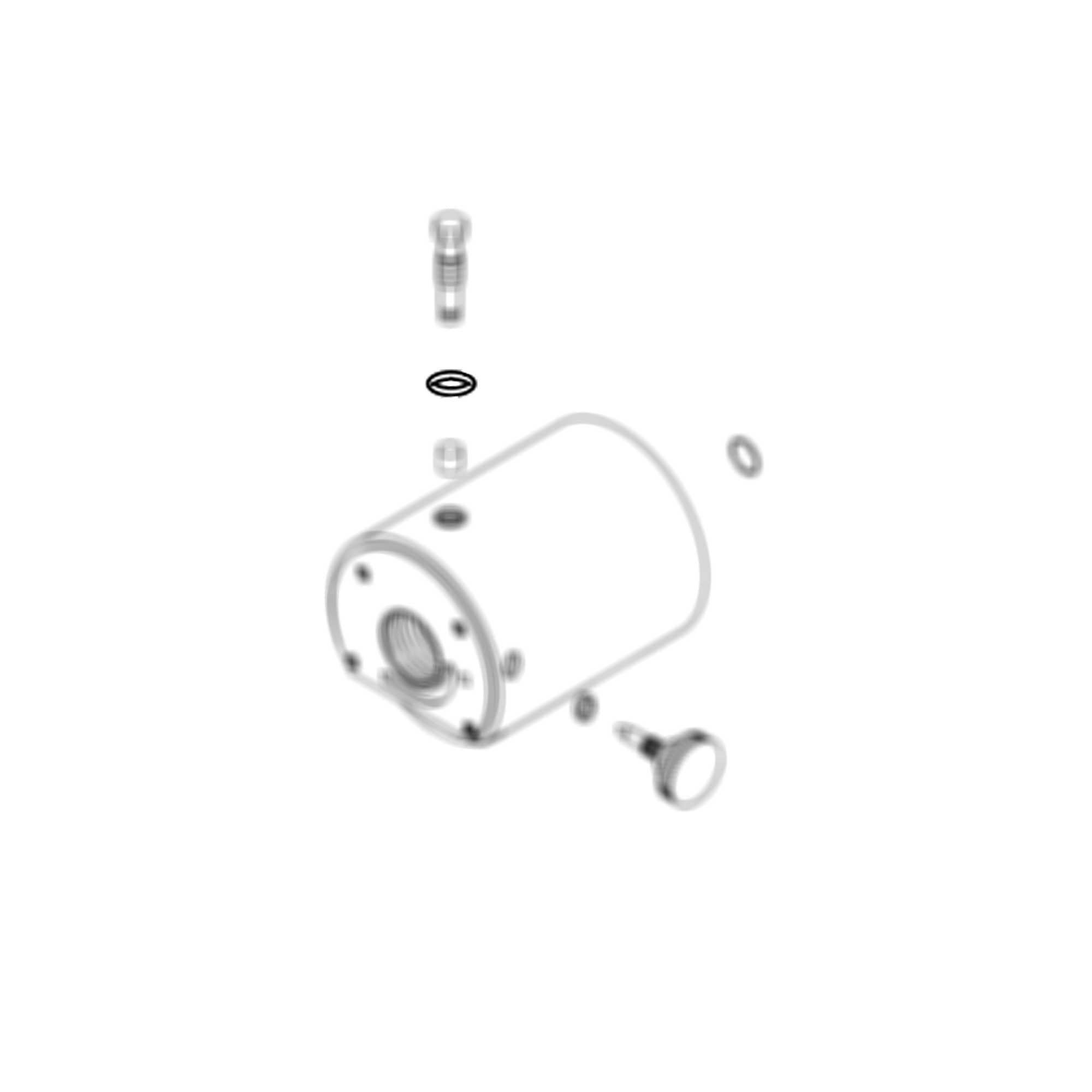 295706 - O-Ring - PURspray
