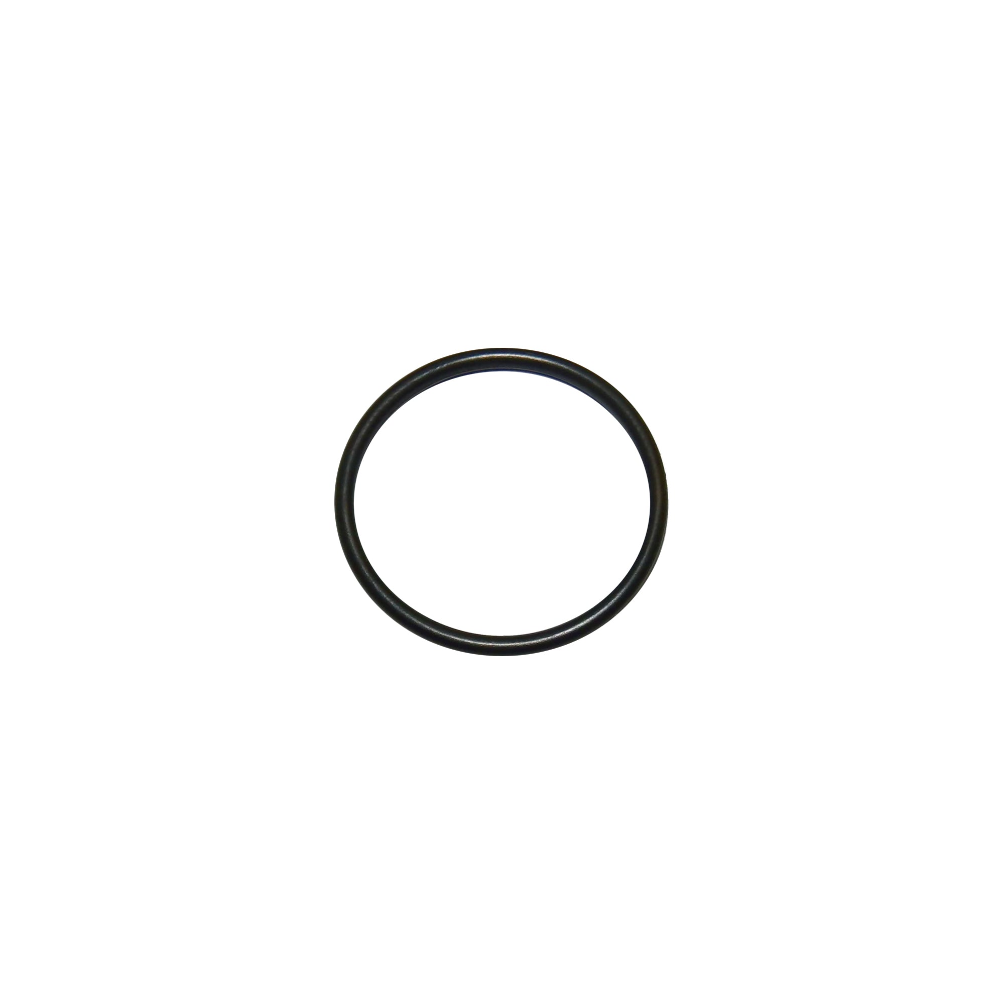 113944 - O-Ring - PURspray