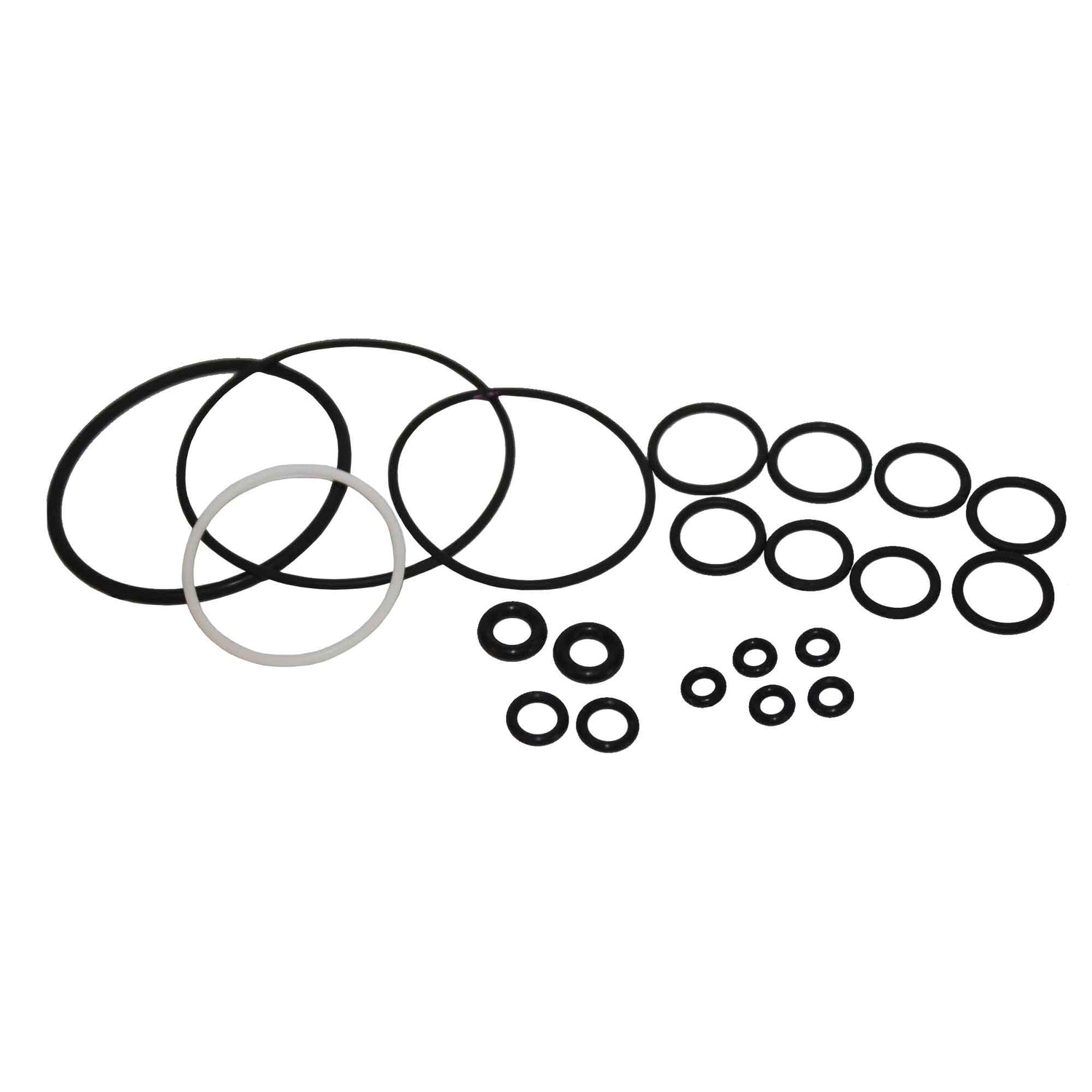 246355 Complete ORing Repair Kit