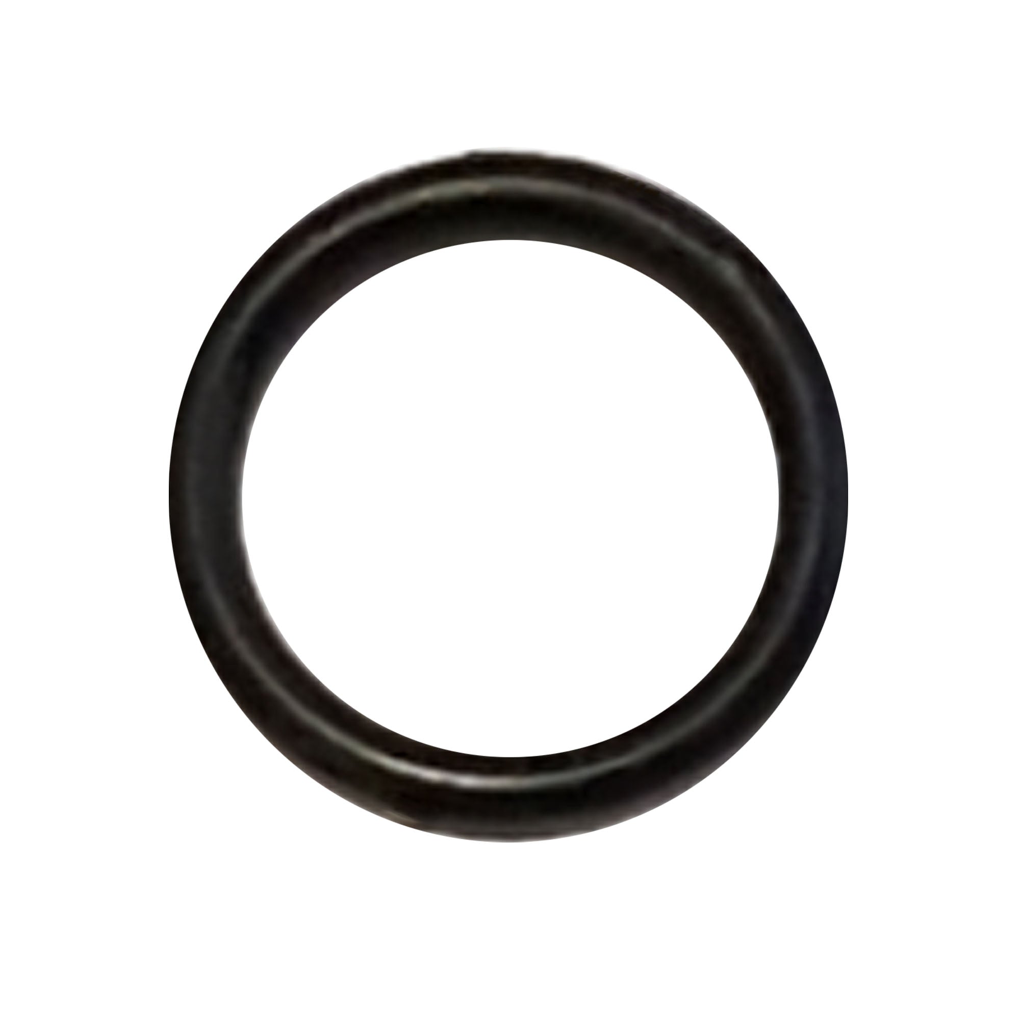 256772 - O-Ring, Pack of 6 - PURspray