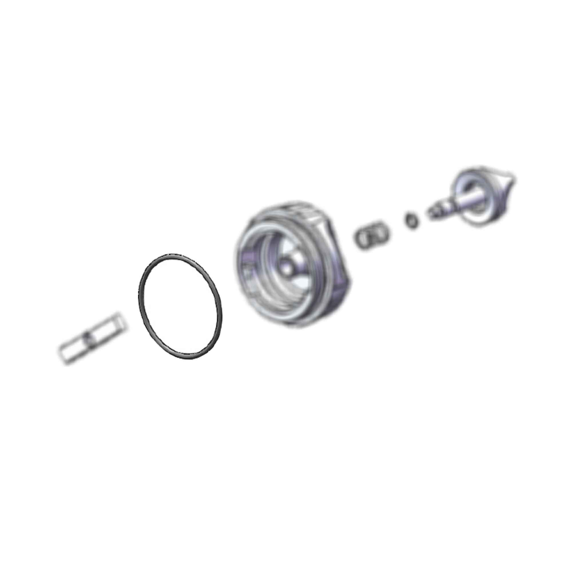 336420 - O-Ring End Cap (2-Pack) - PURspray