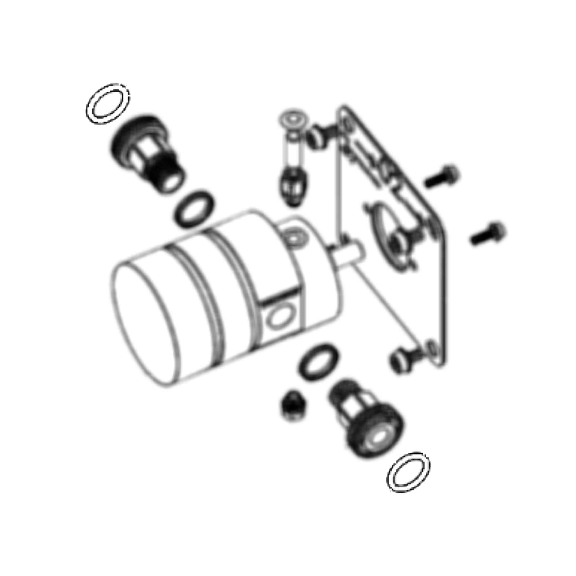 341003 - O-Ring Union Viton - PURspray